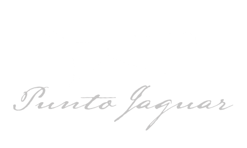 Logotipo Punto Jaguar FONDO OSCURO