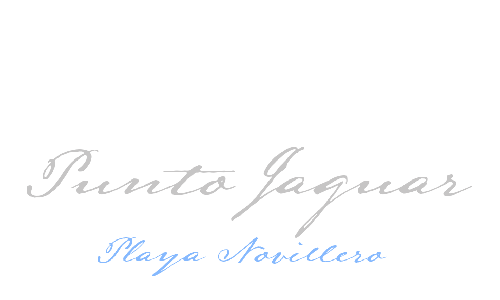 Punto Jaguar