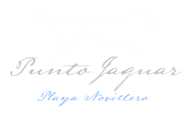 Logotipo Punto Jaguar TEXTO 2 - FONDO OSCURO